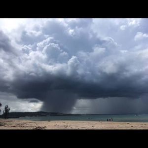 Meet your Posher, Gladys